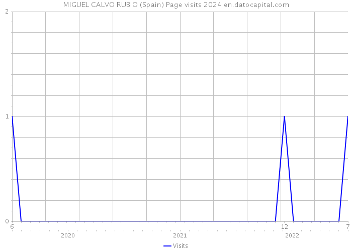 MIGUEL CALVO RUBIO (Spain) Page visits 2024 