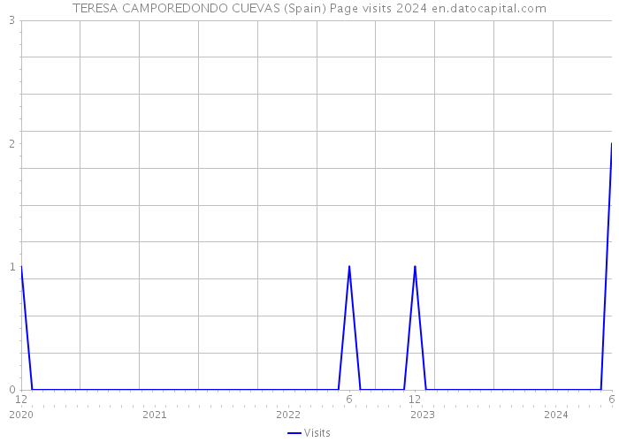 TERESA CAMPOREDONDO CUEVAS (Spain) Page visits 2024 