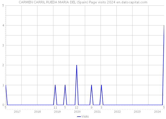 CARMEN CARRIL RUEDA MARIA DEL (Spain) Page visits 2024 