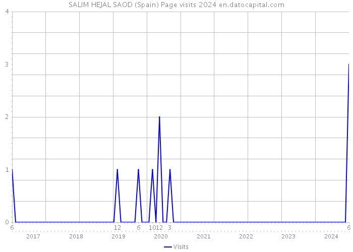 SALIM HEJAL SAOD (Spain) Page visits 2024 