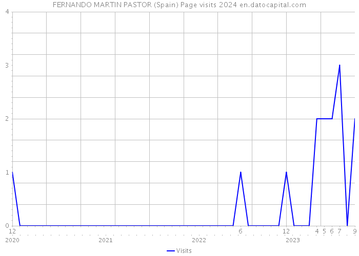 FERNANDO MARTIN PASTOR (Spain) Page visits 2024 