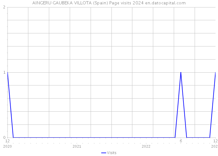AINGERU GAUBEKA VILLOTA (Spain) Page visits 2024 