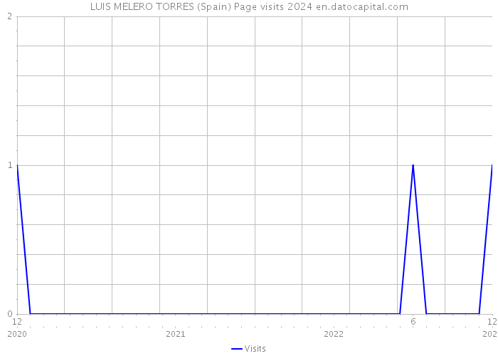 LUIS MELERO TORRES (Spain) Page visits 2024 