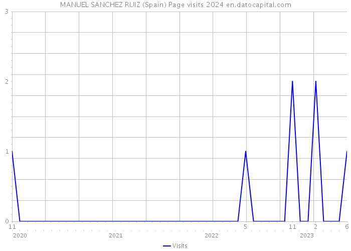 MANUEL SANCHEZ RUIZ (Spain) Page visits 2024 