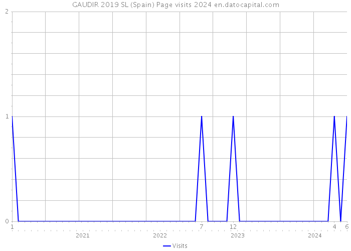 GAUDIR 2019 SL (Spain) Page visits 2024 