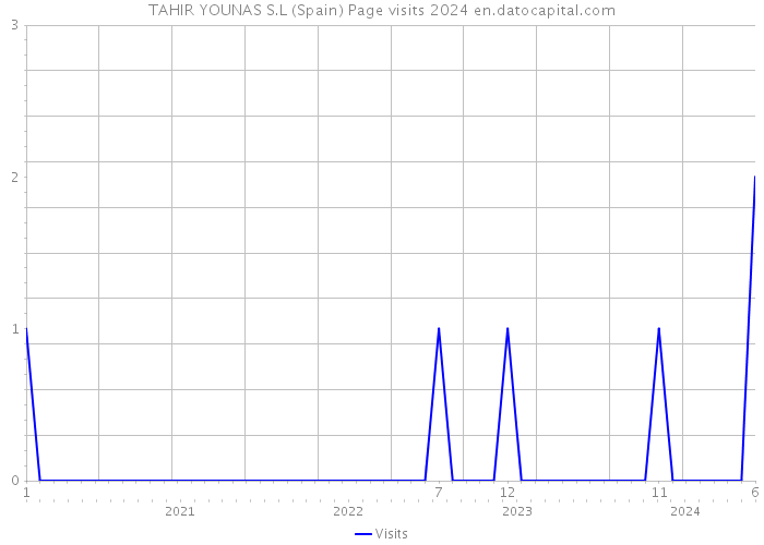 TAHIR YOUNAS S.L (Spain) Page visits 2024 