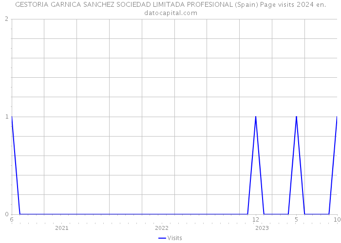 GESTORIA GARNICA SANCHEZ SOCIEDAD LIMITADA PROFESIONAL (Spain) Page visits 2024 