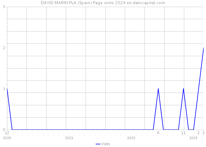 DAVID MARIN PLA (Spain) Page visits 2024 