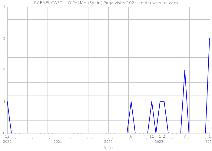 RAFAEL CASTILLO PALMA (Spain) Page visits 2024 