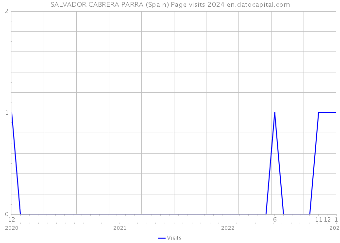 SALVADOR CABRERA PARRA (Spain) Page visits 2024 