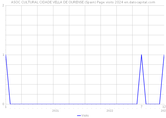 ASOC CULTURAL CIDADE VELLA DE OURENSE (Spain) Page visits 2024 