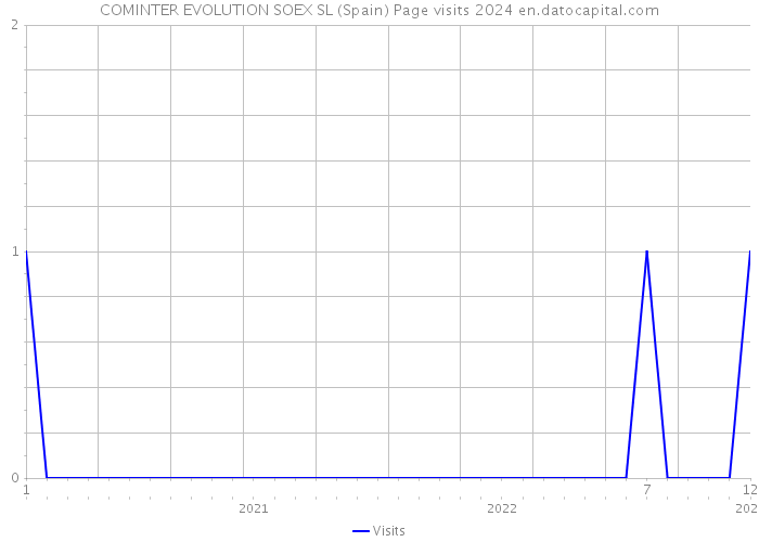 COMINTER EVOLUTION SOEX SL (Spain) Page visits 2024 