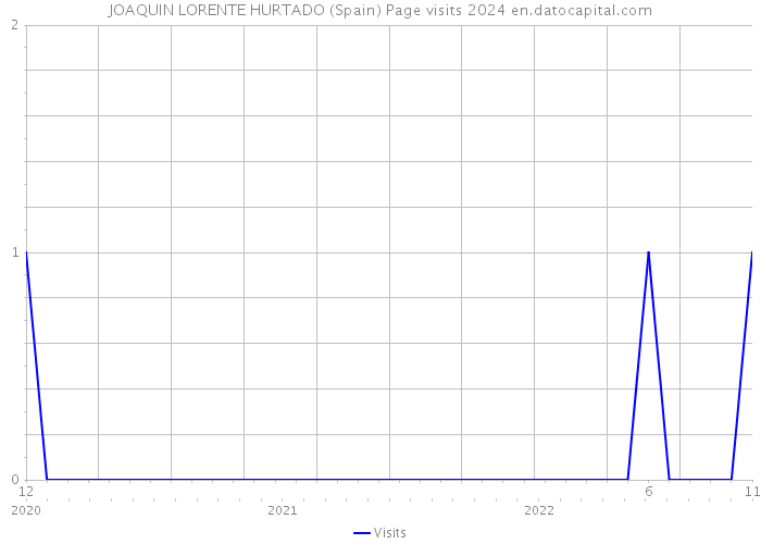 JOAQUIN LORENTE HURTADO (Spain) Page visits 2024 