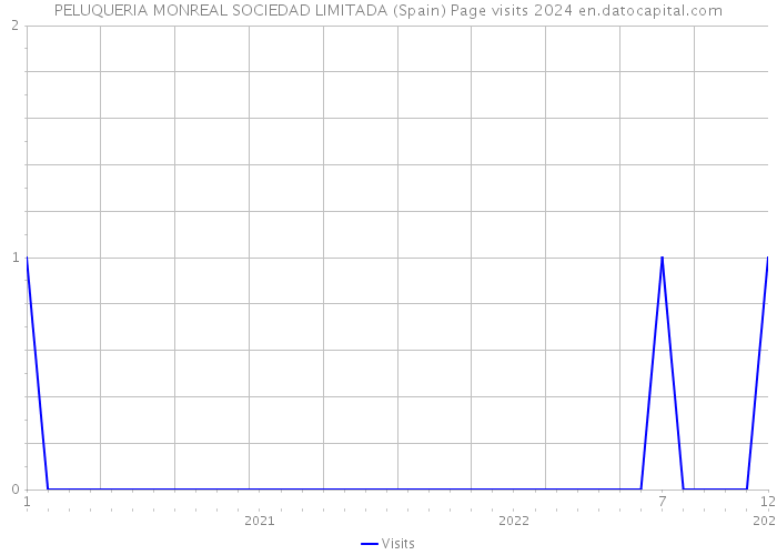 PELUQUERIA MONREAL SOCIEDAD LIMITADA (Spain) Page visits 2024 