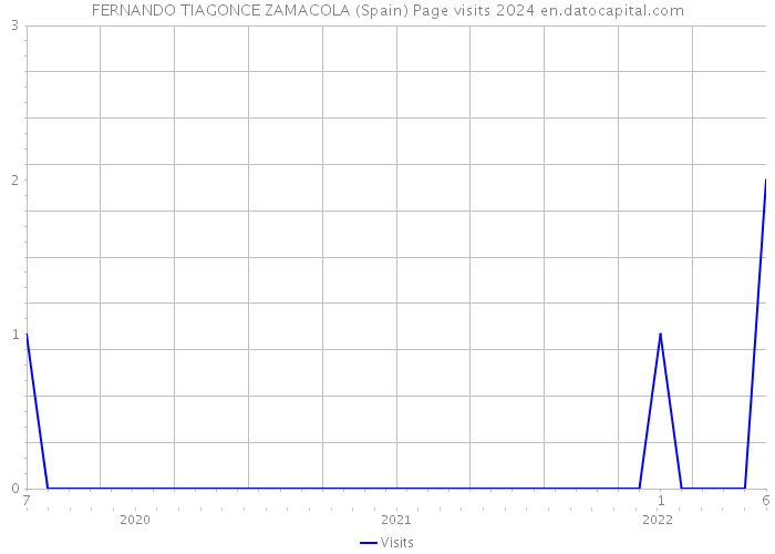 FERNANDO TIAGONCE ZAMACOLA (Spain) Page visits 2024 