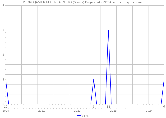 PEDRO JAVIER BECERRA RUBIO (Spain) Page visits 2024 