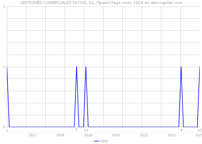 GESTIONES COMERCIALES SAYNO, S.L. (Spain) Page visits 2024 