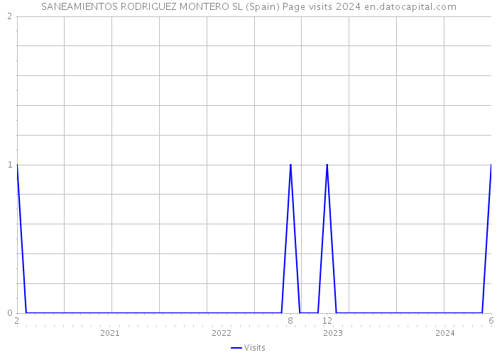 SANEAMIENTOS RODRIGUEZ MONTERO SL (Spain) Page visits 2024 