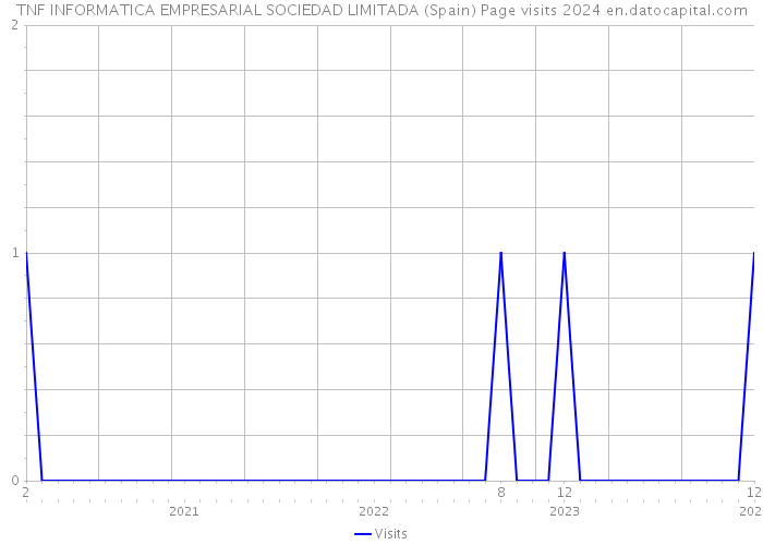 TNF INFORMATICA EMPRESARIAL SOCIEDAD LIMITADA (Spain) Page visits 2024 