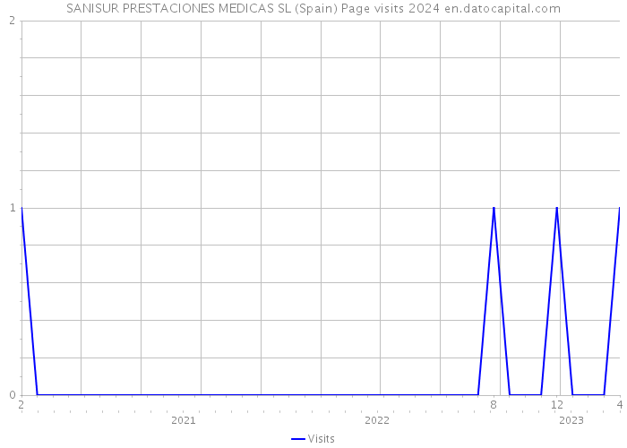 SANISUR PRESTACIONES MEDICAS SL (Spain) Page visits 2024 