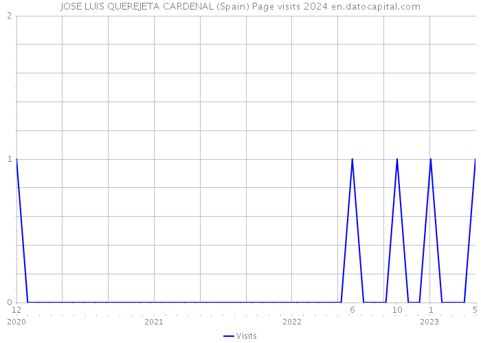 JOSE LUIS QUEREJETA CARDENAL (Spain) Page visits 2024 