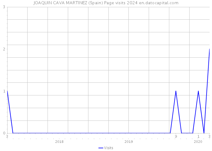 JOAQUIN CAVA MARTINEZ (Spain) Page visits 2024 