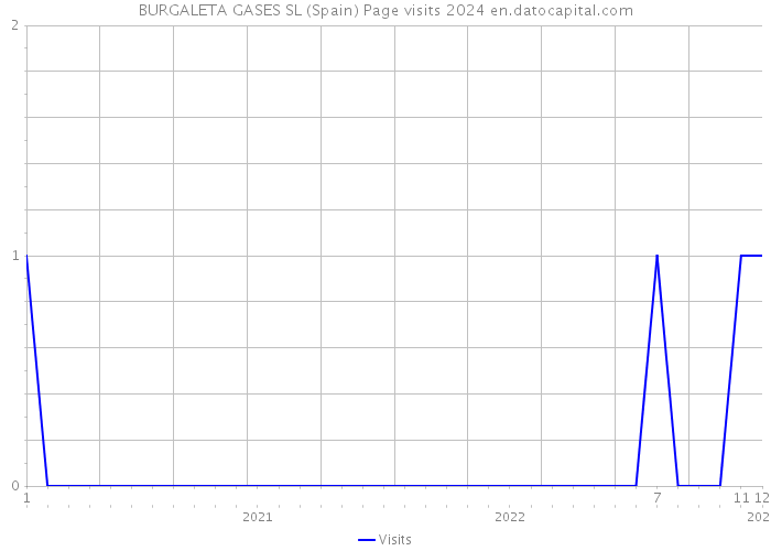 BURGALETA GASES SL (Spain) Page visits 2024 
