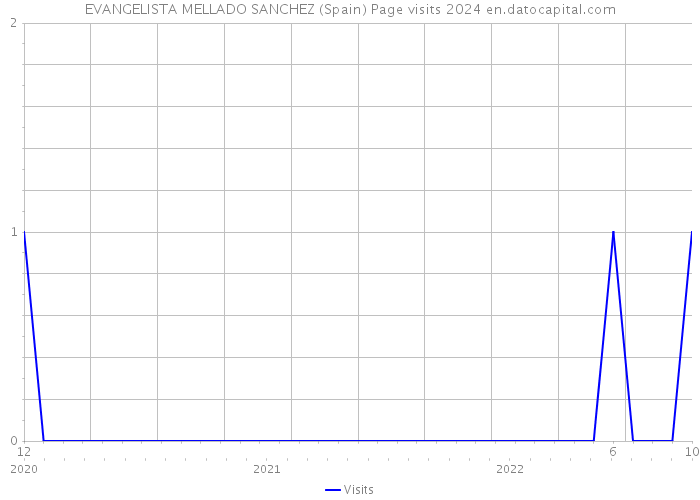 EVANGELISTA MELLADO SANCHEZ (Spain) Page visits 2024 