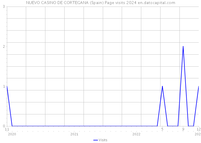 NUEVO CASINO DE CORTEGANA (Spain) Page visits 2024 