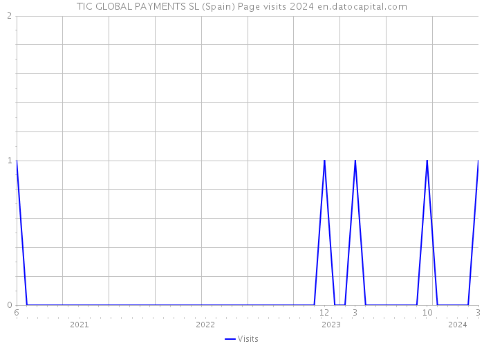 TIC GLOBAL PAYMENTS SL (Spain) Page visits 2024 
