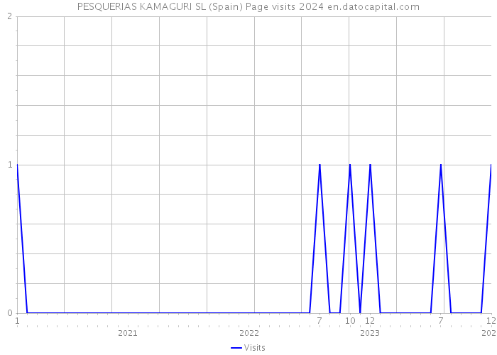 PESQUERIAS KAMAGURI SL (Spain) Page visits 2024 