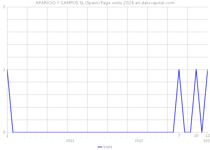 APARICIO Y CAMPOS SL (Spain) Page visits 2024 