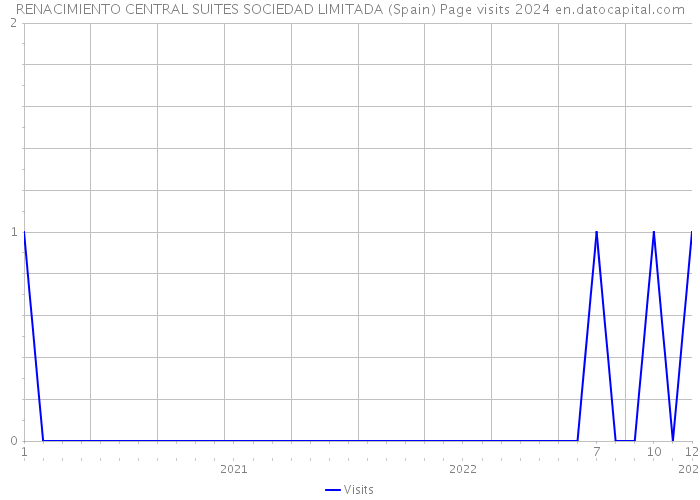 RENACIMIENTO CENTRAL SUITES SOCIEDAD LIMITADA (Spain) Page visits 2024 