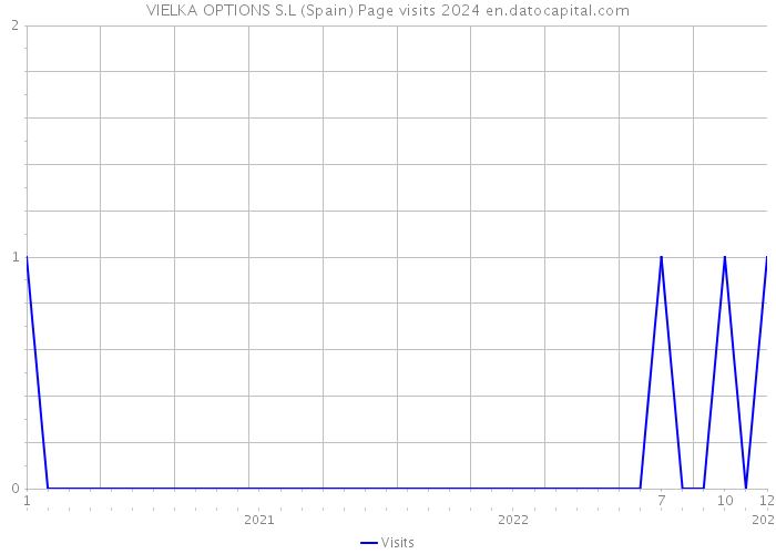 VIELKA OPTIONS S.L (Spain) Page visits 2024 