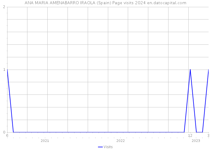 ANA MARIA AMENABARRO IRAOLA (Spain) Page visits 2024 
