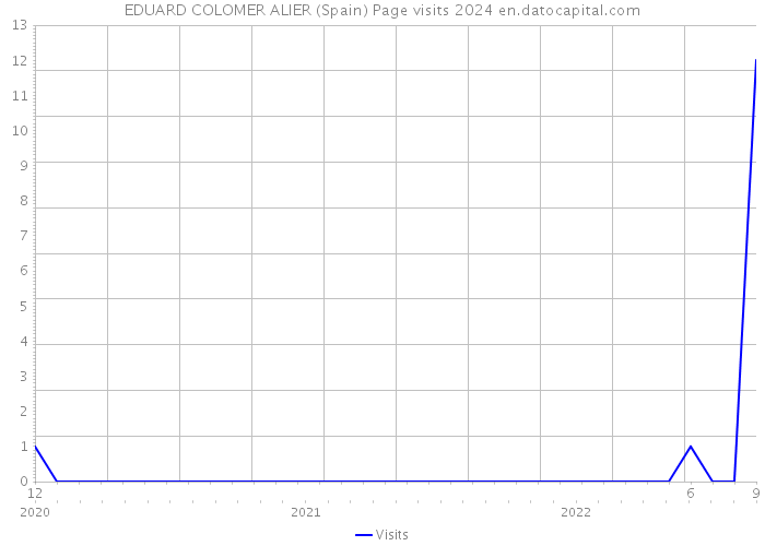 EDUARD COLOMER ALIER (Spain) Page visits 2024 