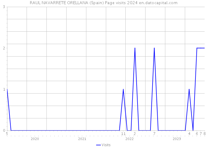 RAUL NAVARRETE ORELLANA (Spain) Page visits 2024 