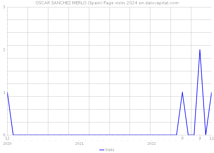 OSCAR SANCHEZ MERLO (Spain) Page visits 2024 