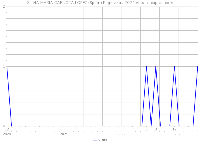 SILVIA MARIA CARNOTA LOPEZ (Spain) Page visits 2024 