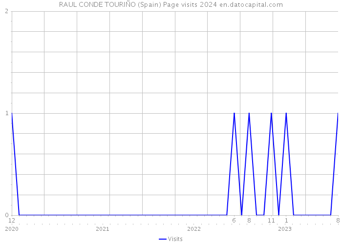 RAUL CONDE TOURIÑO (Spain) Page visits 2024 