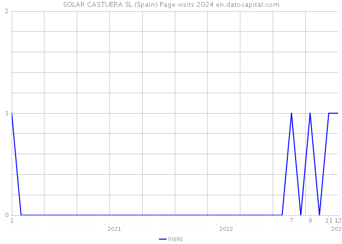 SOLAR CASTUERA SL (Spain) Page visits 2024 