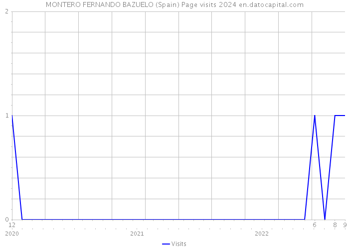 MONTERO FERNANDO BAZUELO (Spain) Page visits 2024 