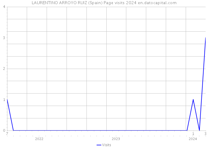 LAURENTINO ARROYO RUIZ (Spain) Page visits 2024 