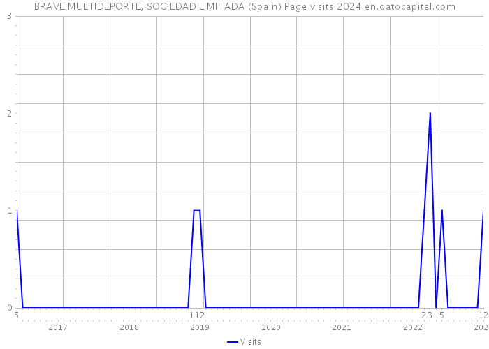 BRAVE MULTIDEPORTE, SOCIEDAD LIMITADA (Spain) Page visits 2024 