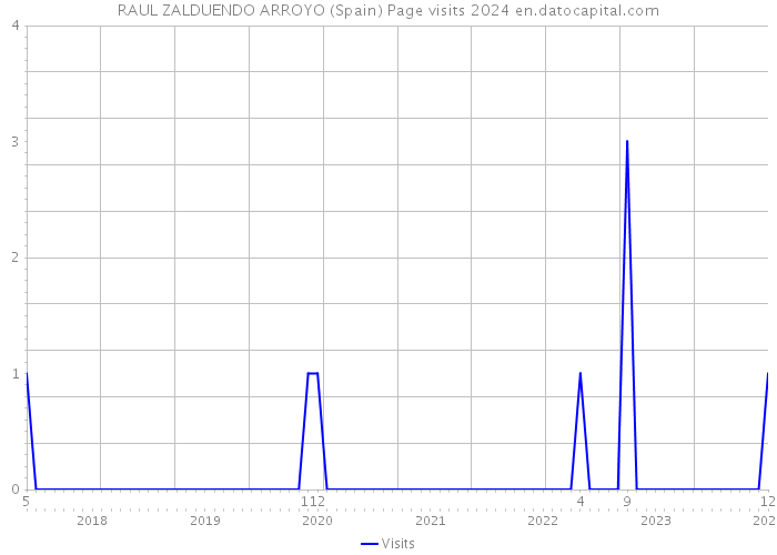 RAUL ZALDUENDO ARROYO (Spain) Page visits 2024 