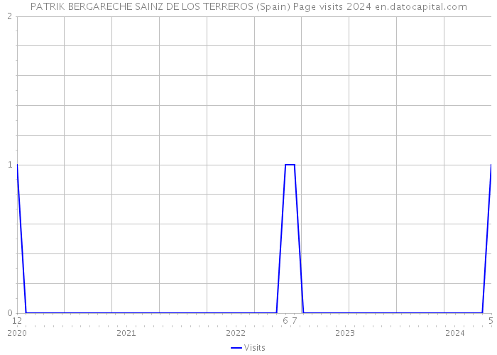 PATRIK BERGARECHE SAINZ DE LOS TERREROS (Spain) Page visits 2024 