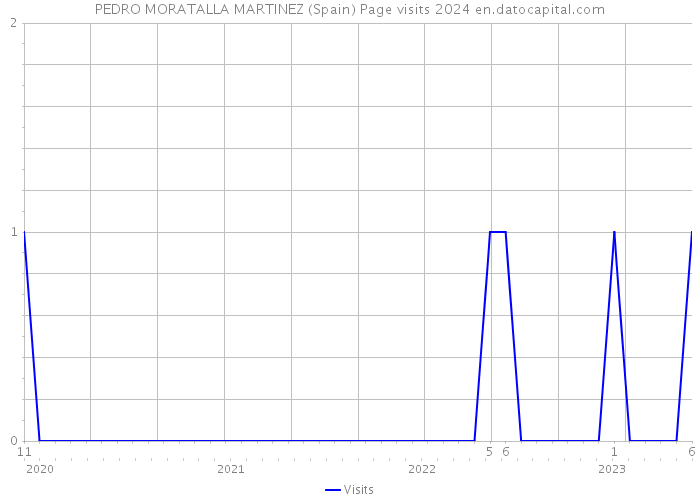 PEDRO MORATALLA MARTINEZ (Spain) Page visits 2024 