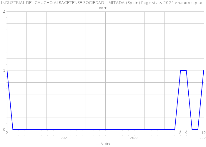INDUSTRIAL DEL CAUCHO ALBACETENSE SOCIEDAD LIMITADA (Spain) Page visits 2024 