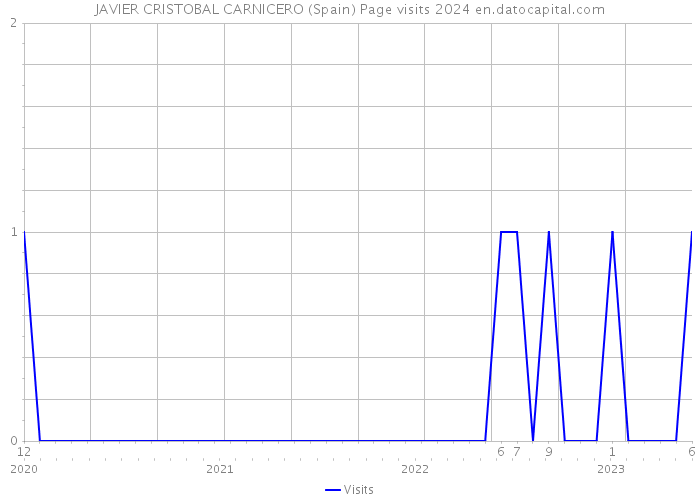 JAVIER CRISTOBAL CARNICERO (Spain) Page visits 2024 