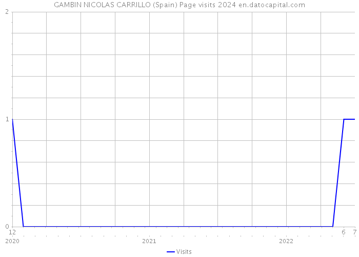 GAMBIN NICOLAS CARRILLO (Spain) Page visits 2024 